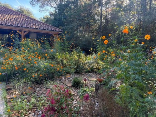 11538-11534SebastiansRun-43