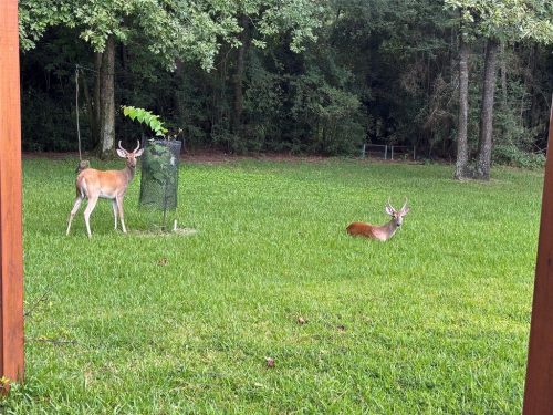 11538-11534SebastiansRun-44